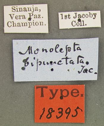 Media type: image; Entomology 18395   Aspect: labels